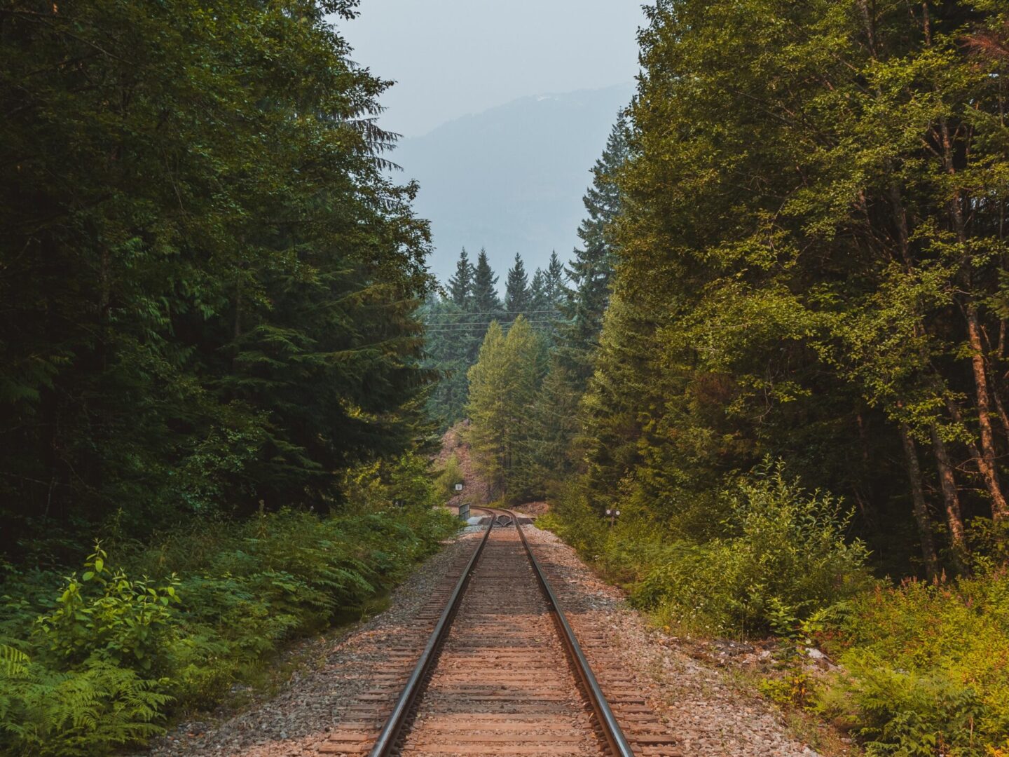 A train track with trees in the background